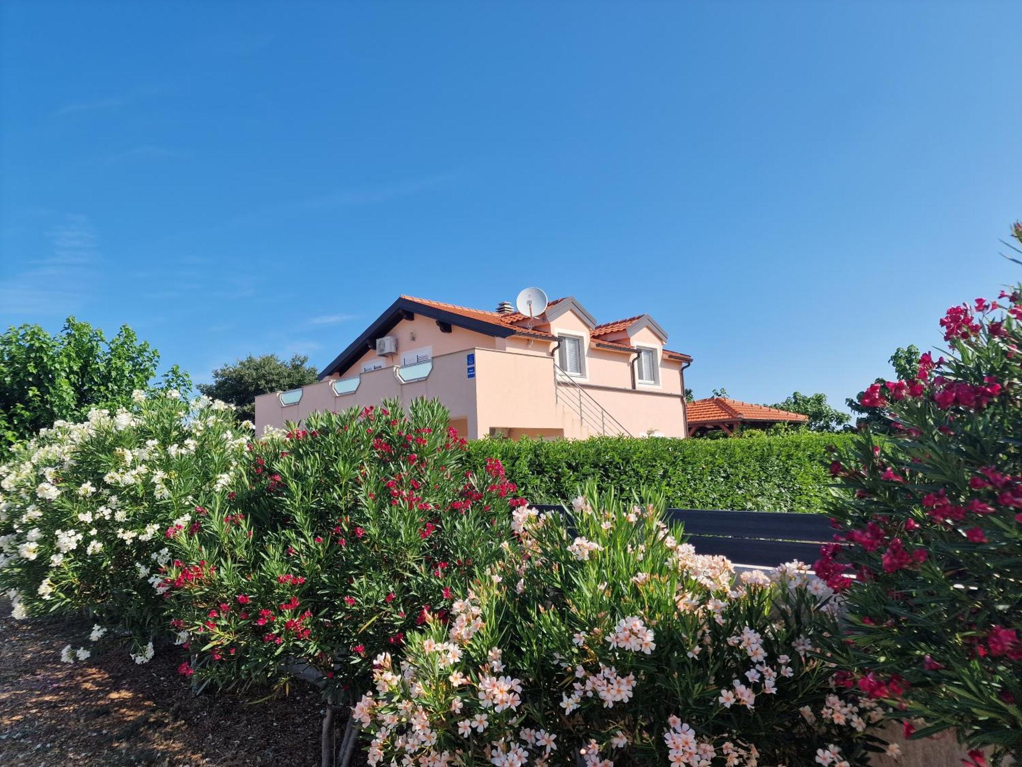 Villa Verbena Mala Cista Zewnętrze zdjęcie
